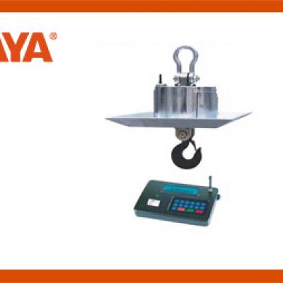 Electronic hanging pound